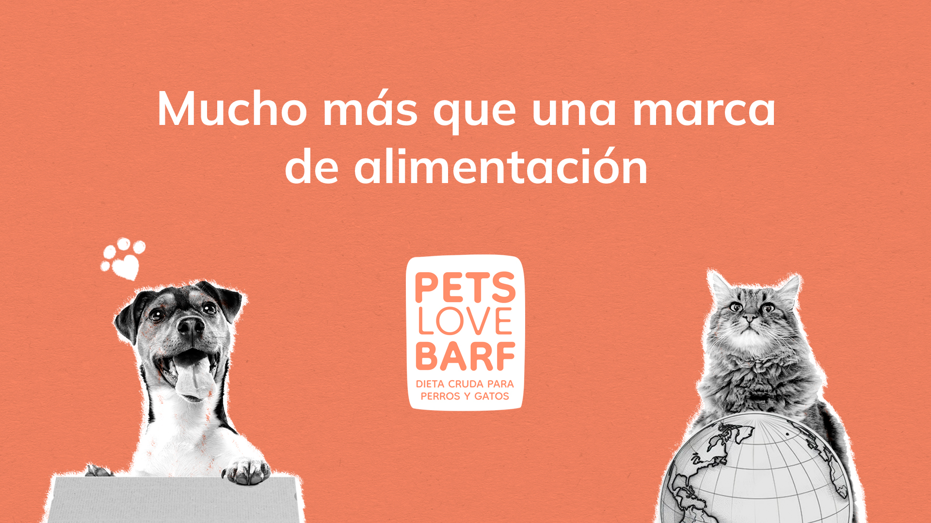 Comida para animales