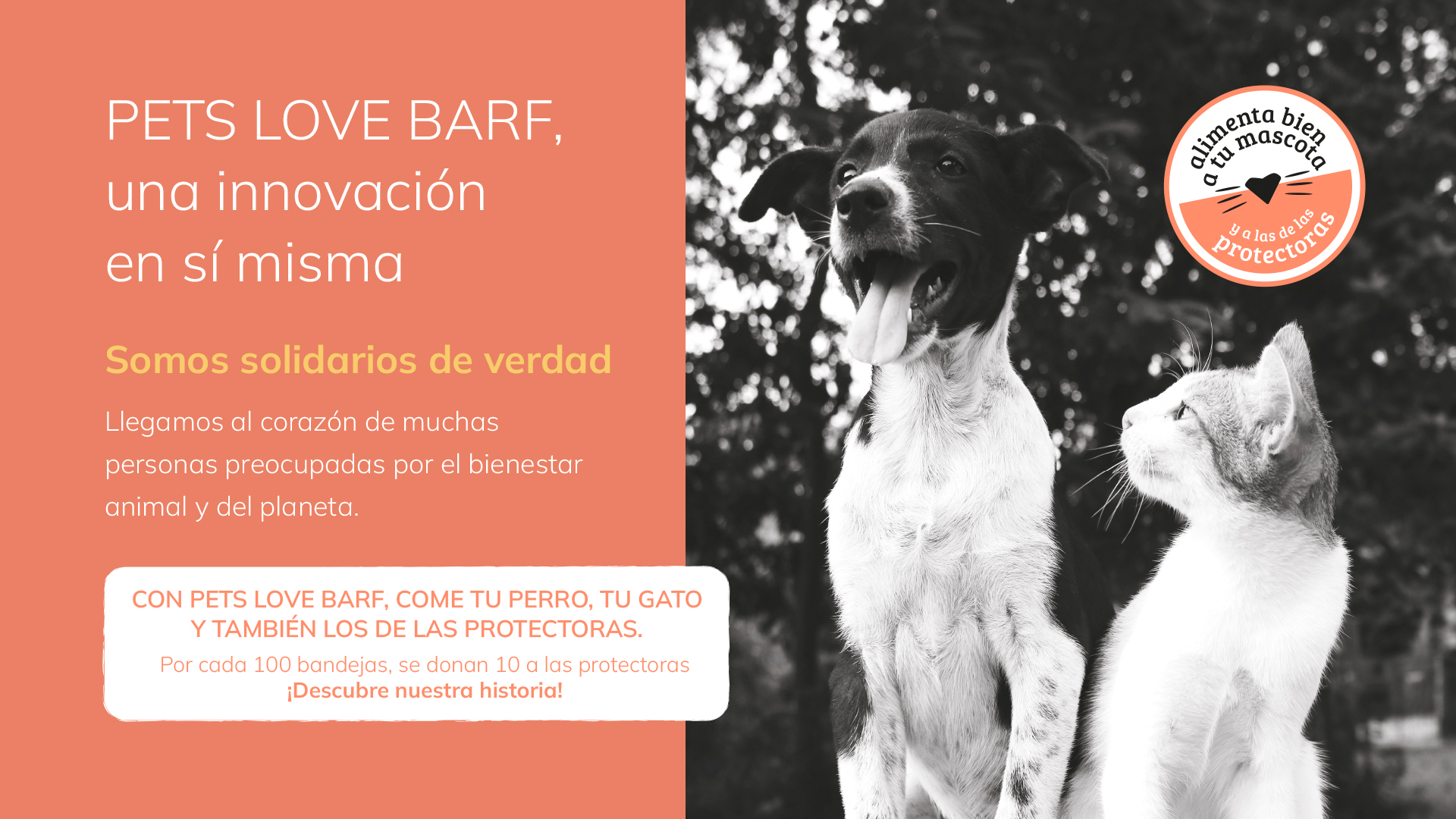 Comida para animales